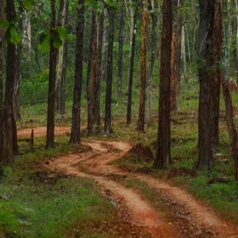 anshi-national-park